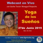Tenzin Wangyal Rinpoche