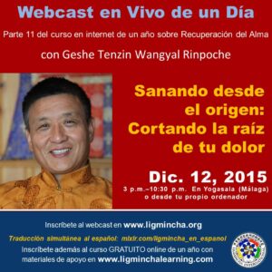 Meditacion Sanando desde el origen: cortando la raiz de tu dolor